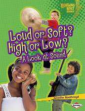 Loud or Soft? High or Low?: A Look at Sound