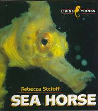 Sea Horse