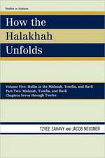 How the Halakhah Unfolds