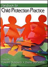 Handbook for Child Protection Practice