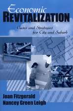 Economic Revitalization: Cases and Strategies for City and Suburb