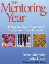 The Mentoring Year