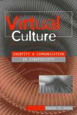 Virtual Culture: Identity and Communication in Cybersociety