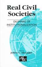 Real Civil Societies: Dilemmas of Institutionalization