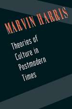 Theories of Culture in Postmodern Times