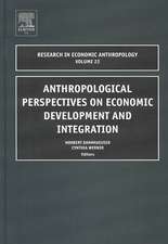 Anthropological Perspectives on Economic Development and Integration