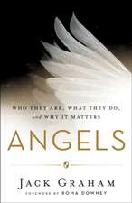 Angels – Who They Are, What They Do, and Why It Matters