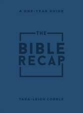 The Bible Recap – A One–Year Guide to Reading and Understanding the Entire Bible, Personal Size Imitation Leather