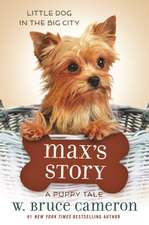 Max's Story