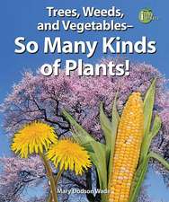 Trees, Weeds, and Vegetables--So Many Kinds of Plants!