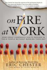 On Fire at Work: How Great Companies Ignite Passion in Their People Without Burning Them Out