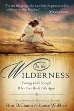 In the Wilderness: Finding God's Strength When Your World Falls Apart