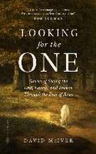 Looking for the One: Stories of Seeing the Lost, Lonely, and Broken Through the Eyes of Jesus