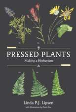 Pressed Plants: Making a Herbarium