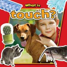 What Is Touch?