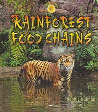 Rainforest Food Chains