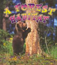 A Forest Habitat