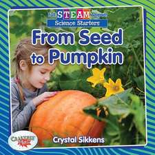 From Seed to Pumpkin