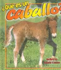 Que Es un Caballo?