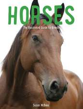 Horses: The Illustrated Guide to Breeds