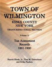 Town of Wilmington, Essex County, New York, Transcribed Serial Records: Volume 12, Tax Assessment Records, 1891-1900