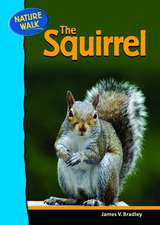 The Squirrel