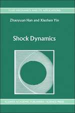 Shock Dynamics