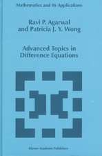 Advanced Topics in Difference Equations