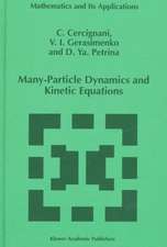 Many-Particle Dynamics and Kinetic Equations