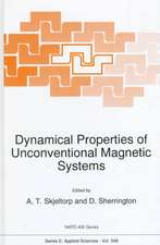 Dynamical Properties of Unconventional Magnetic Systems