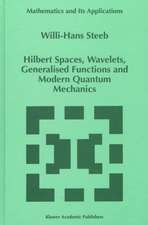 Hilbert Spaces, Wavelets, Generalised Functions and Modern Quantum Mechanics