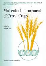 Molecular improvement of cereal crops