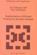 Regularization of Ill-Posed Problems by Iteration Methods