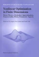 Nonlinear Optimization in Finite Dimensions: Morse Theory, Chebyshev Approximation, Transversality, Flows, Parametric Aspects