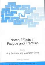 Notch Effects in Fatigue and Fracture