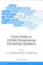 From Finite to Infinite Dimensional Dynamical Systems