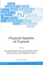 Physical Aspects of Fracture