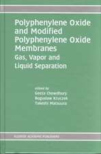 Polyphenylene Oxide and Modified Polyphenylene Oxide Membranes: Gas, Vapor and Liquid Separation