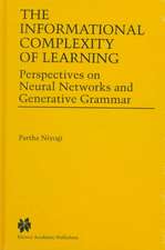 The Informational Complexity of Learning: Perspectives on Neural Networks and Generative Grammar