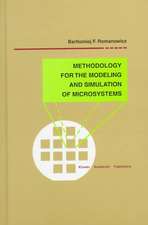 Methodology for the Modeling and Simulation of Microsystems