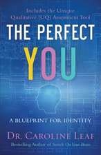 The Perfect You – A Blueprint for Identity