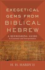 Exegetical Gems from Biblical Hebrew – A Refreshing Guide to Grammar and Interpretation