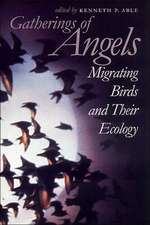 Gatherings of Angels – Migrating Birds and Their Ecology