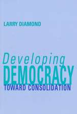 Developing Democracy