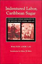 Indentured Labor, Caribbean Sugar