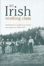 An Irish Working Class