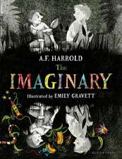 The Imaginary