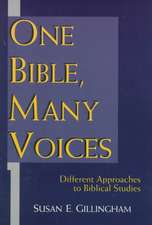 One Bible, Many Voices: Different Approaches to Biblical Studies