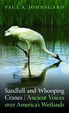 Sandhill and Whooping Cranes: Ancient Voices over America's Wetlands