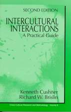 Intercultural Interactions: A Practical Guide